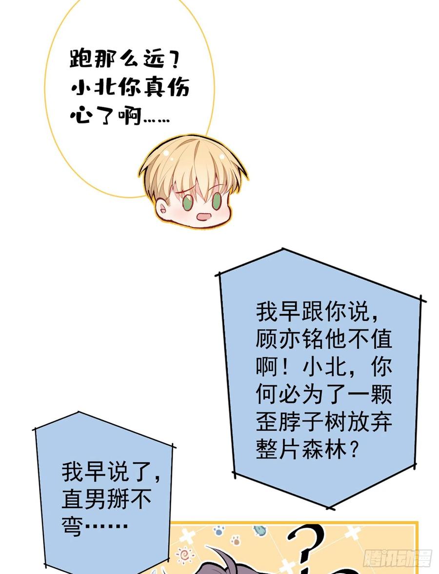 又被男神撩上热搜 第96话 他们在说什么鸟语 第5页