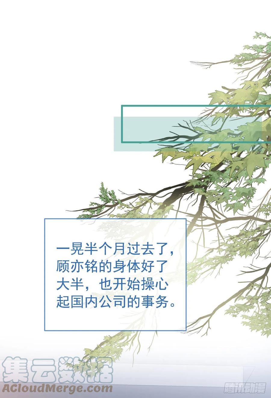 又被男神撩上热搜 第148话 顾亦铭，我认定你了 第37页