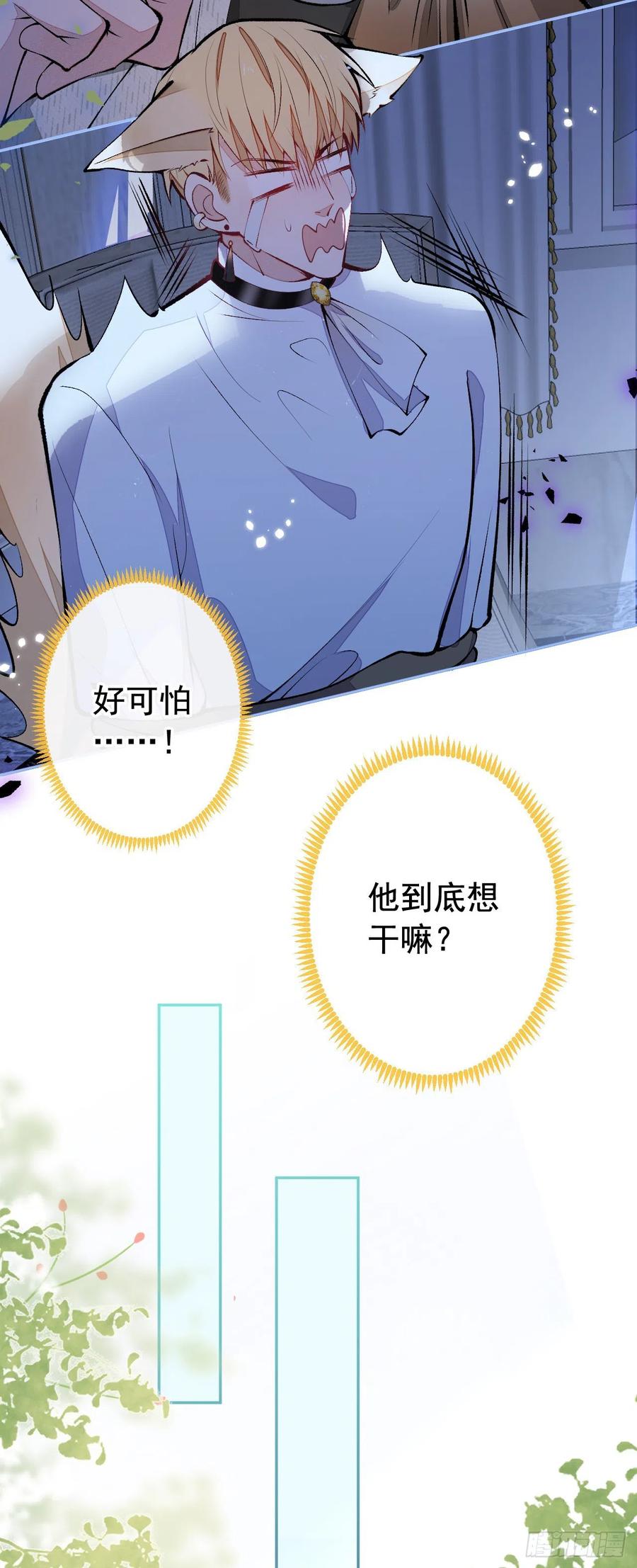 又被男神撩上热搜 兽耳番外·下 第35页