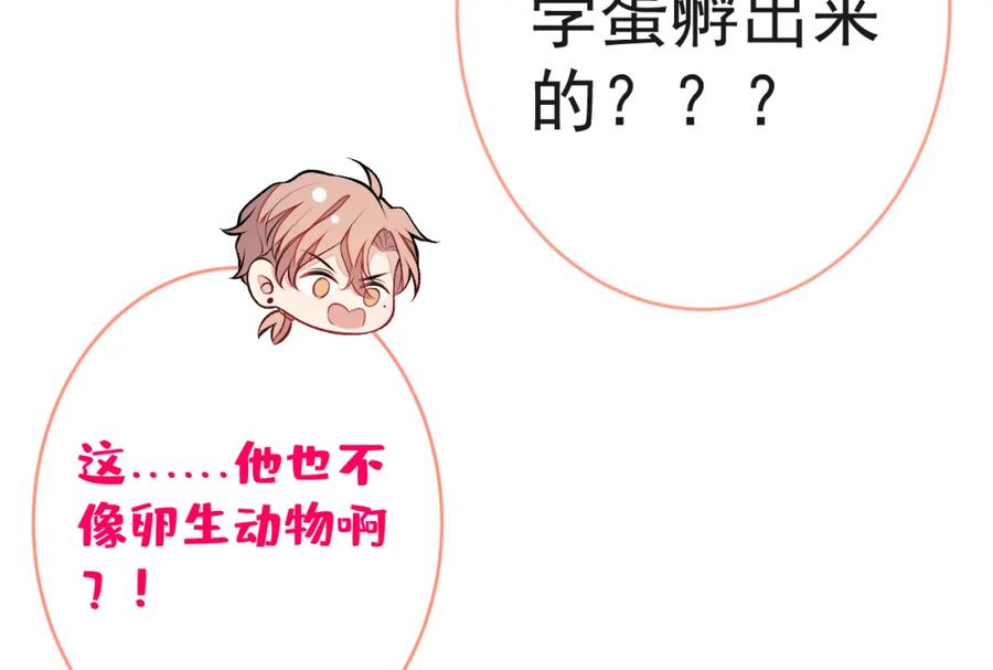 又被男神撩上热搜 养娃篇02 蛋怎么破了？ 第86页