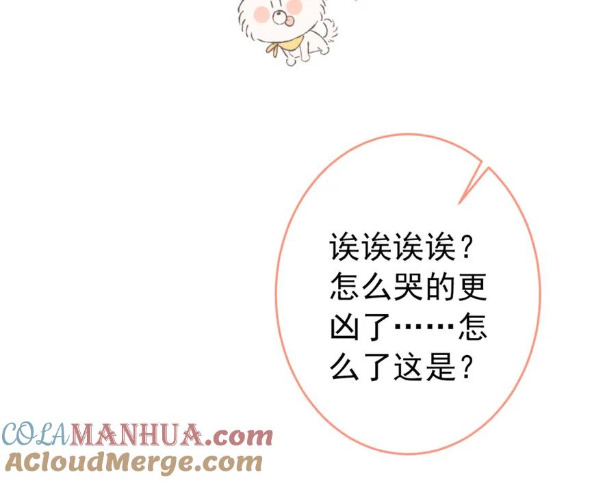 又被男神撩上热搜 养娃篇06 你要养他？！ 第41页