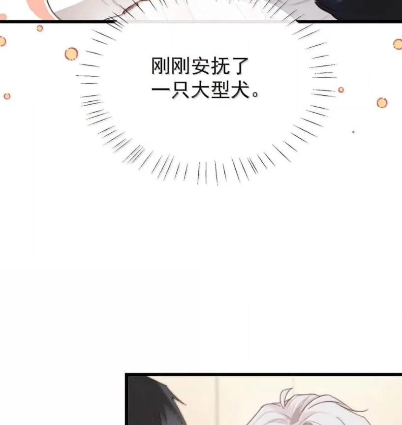 特浓信息素 030 安抚大型犬。 第51页