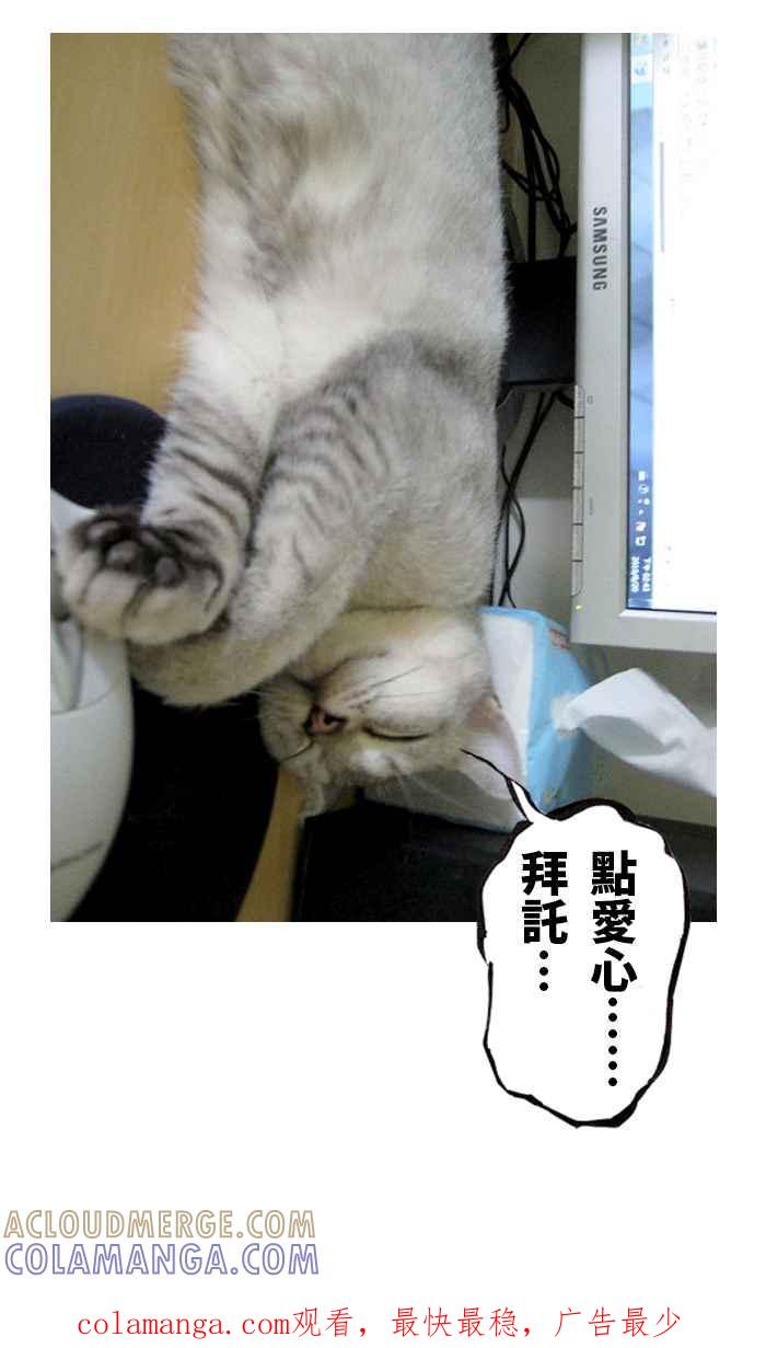 猫剑客 休刊 6 第5页