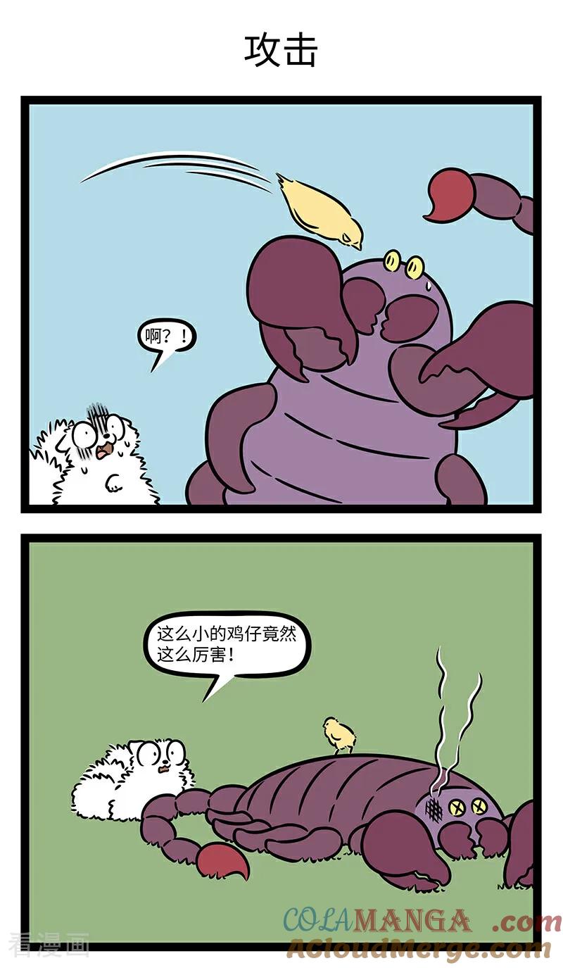 5.jpg