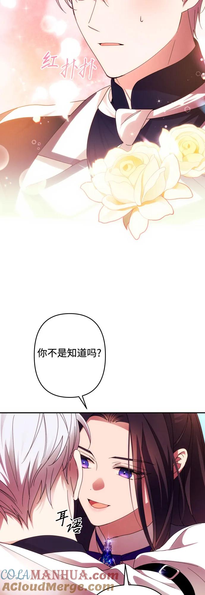 《诱惑北部公爵》第54话 第28页