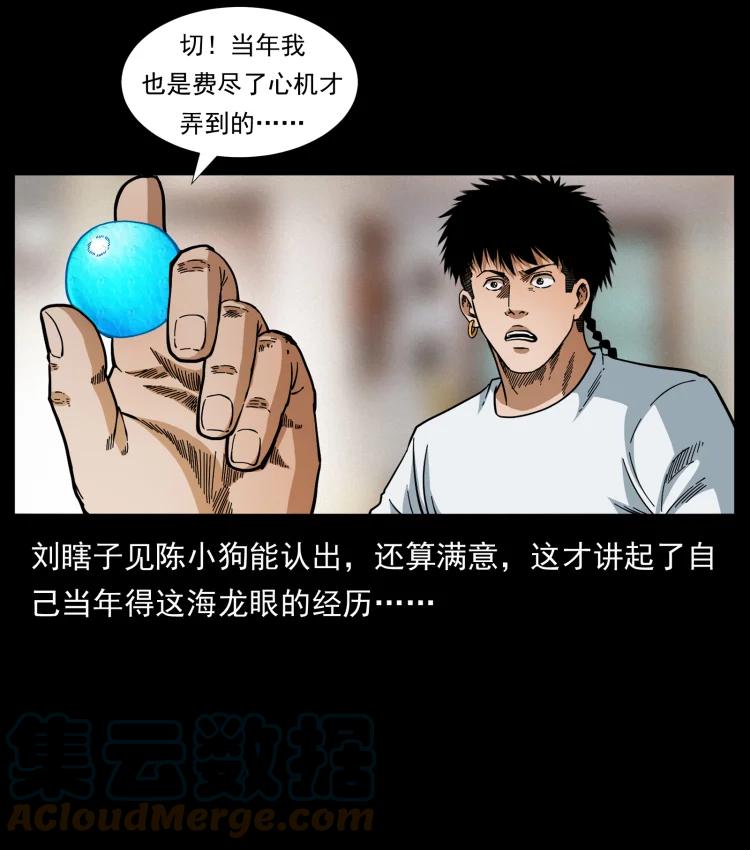 幽冥诡匠 413 我想去盗墓 第13页