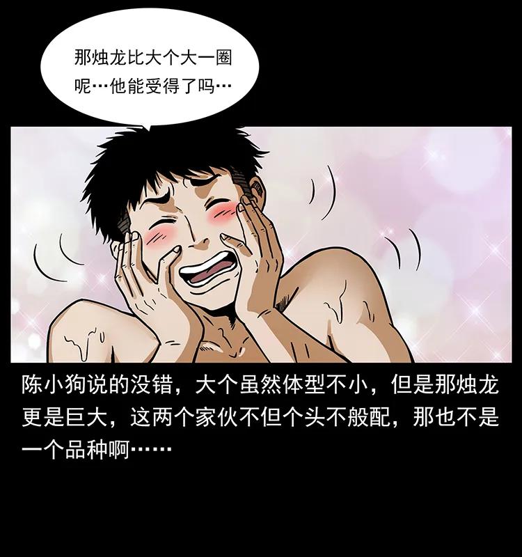 幽冥诡匠 215 望眼欲穿的皇陵 第15页