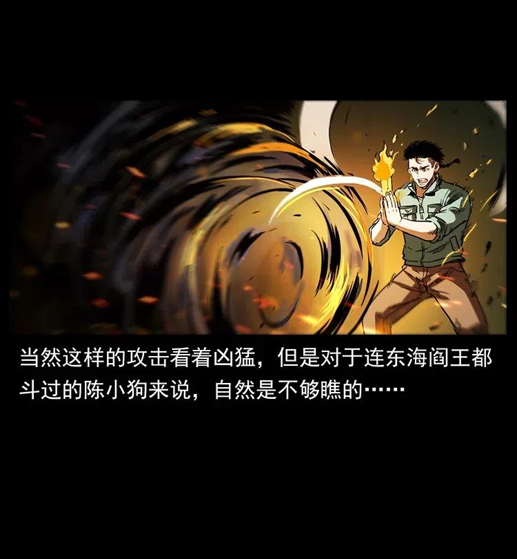 幽冥诡匠 336 一起炼尸吧！ 第70页