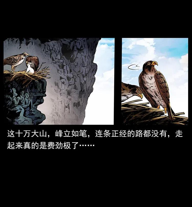 幽冥诡匠 351 前路凶险 第3页