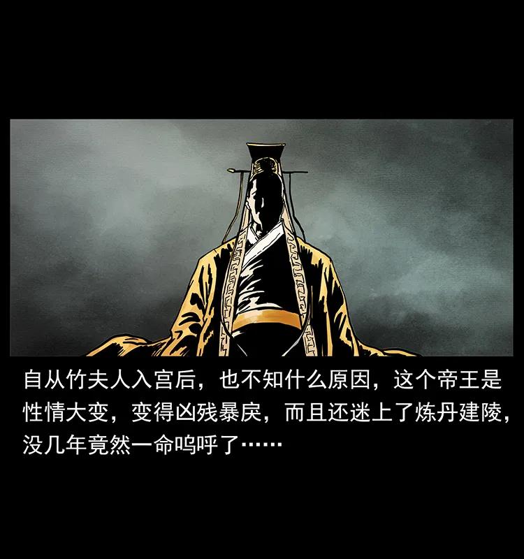 幽冥诡匠 215 望眼欲穿的皇陵 第79页