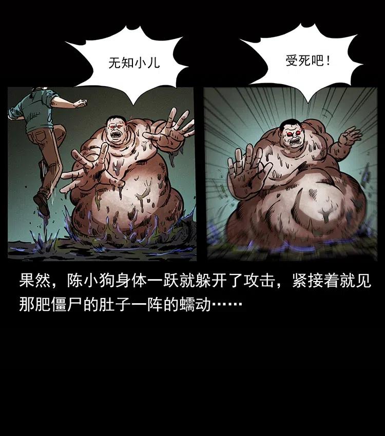 幽冥诡匠 339 洞神真身 第66页