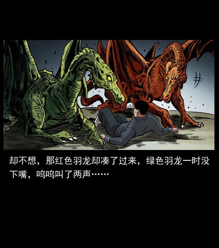 幽冥诡匠 413 我想去盗墓 第65页