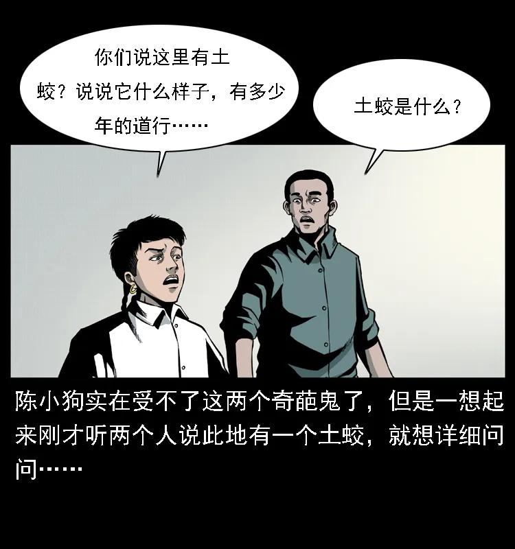 幽冥诡匠 020 陈小狗捉鬼（下） 第43页