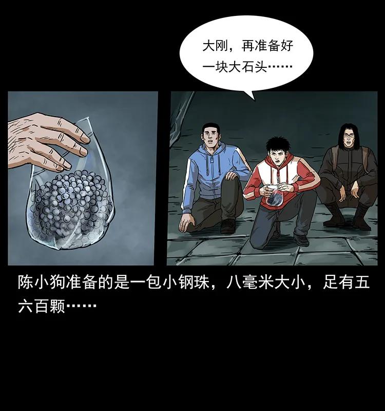 幽冥诡匠 215 望眼欲穿的皇陵 第28页