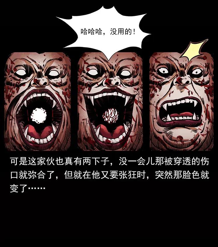 幽冥诡匠 339 洞神真身 第32页
