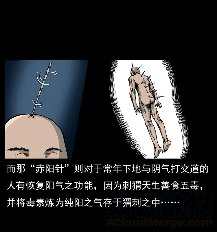 幽冥诡匠 009 刘瞎子 第53页