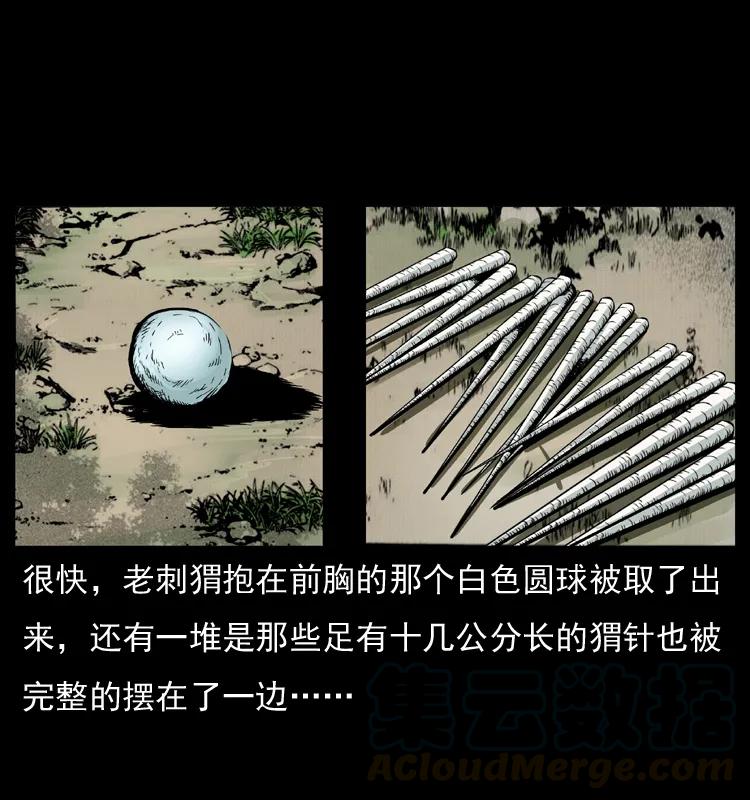 幽冥诡匠 009 刘瞎子 第13页