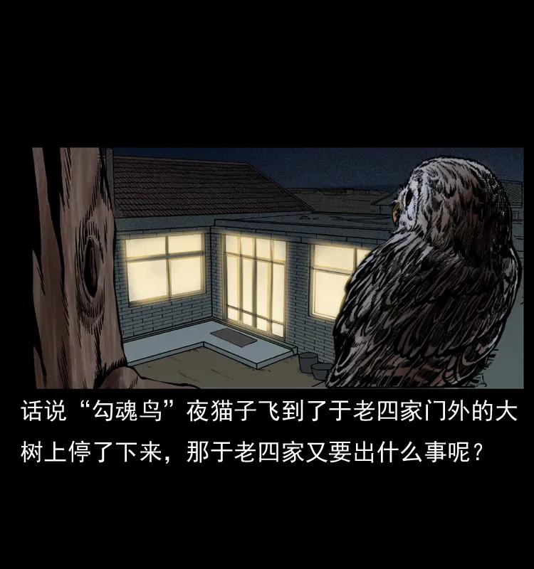 幽冥诡匠 010 带回来的女鬼 第2页