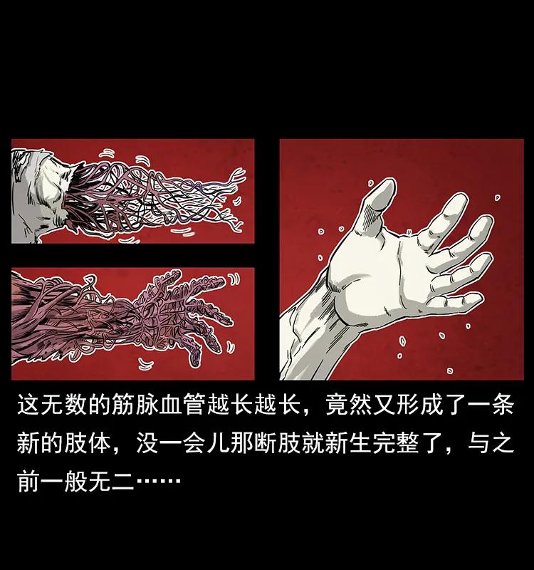 幽冥诡匠 108 九莲困神阵 第31页