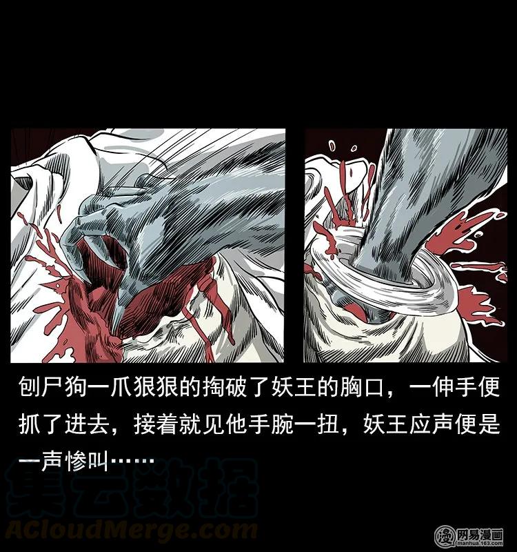 幽冥诡匠 109 妖仙刨尸狗 第41页