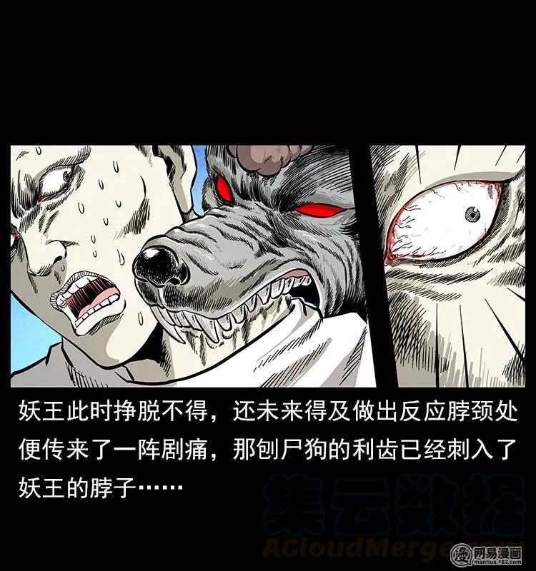 幽冥诡匠 109 妖仙刨尸狗 第13页