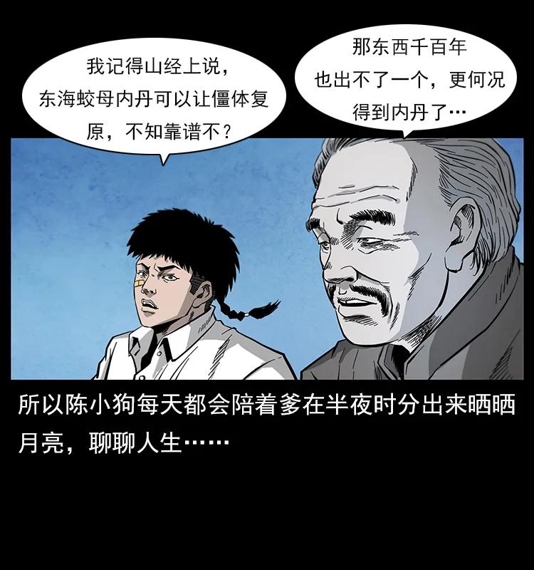 幽冥诡匠 111 新的征程 第35页