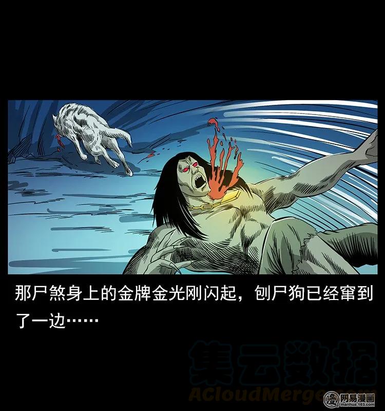 幽冥诡匠 118 天宝仙牌 第45页