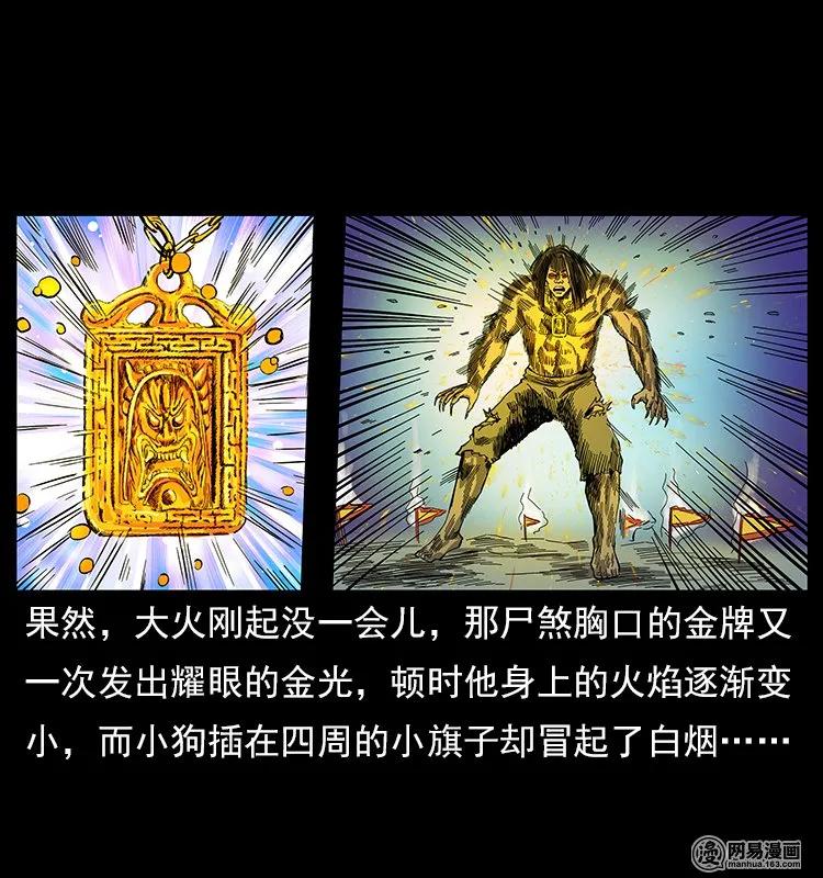 幽冥诡匠 118 天宝仙牌 第4页