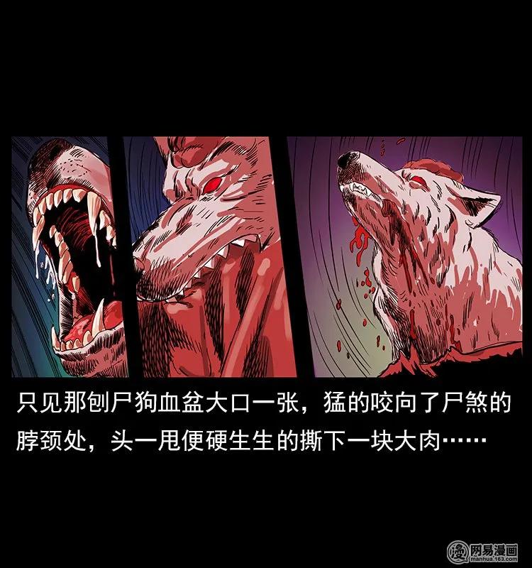 幽冥诡匠 118 天宝仙牌 第44页