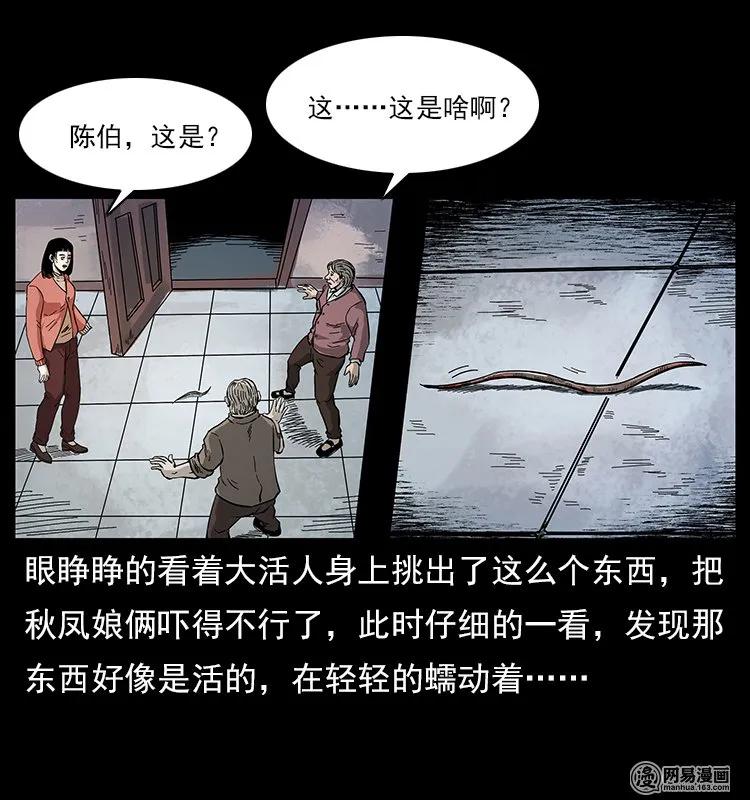 幽冥诡匠 119 殃 第67页