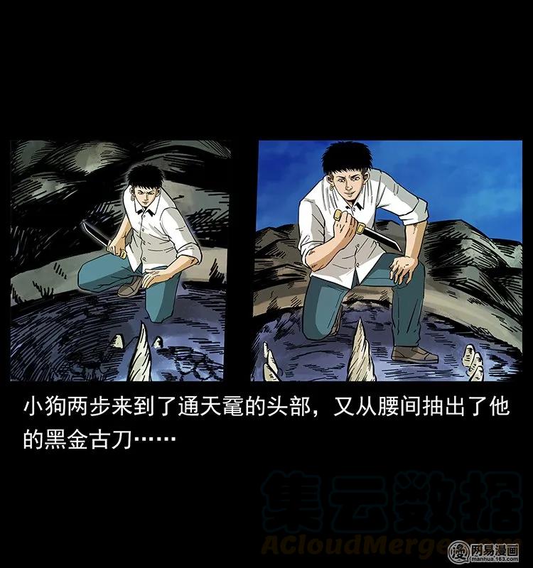 幽冥诡匠 130 大战通天鼋 第73页