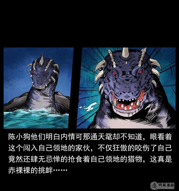 幽冥诡匠 130 大战通天鼋 第32页