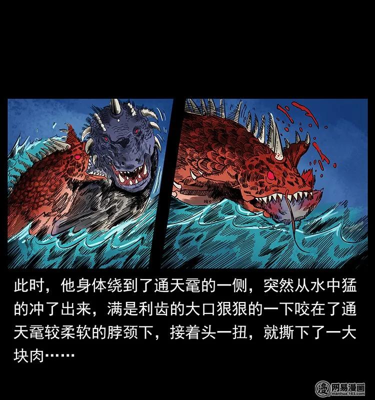 幽冥诡匠 130 大战通天鼋 第24页