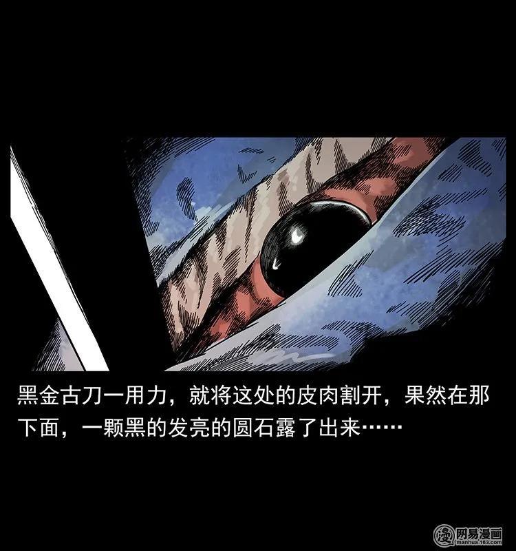 幽冥诡匠 130 大战通天鼋 第75页