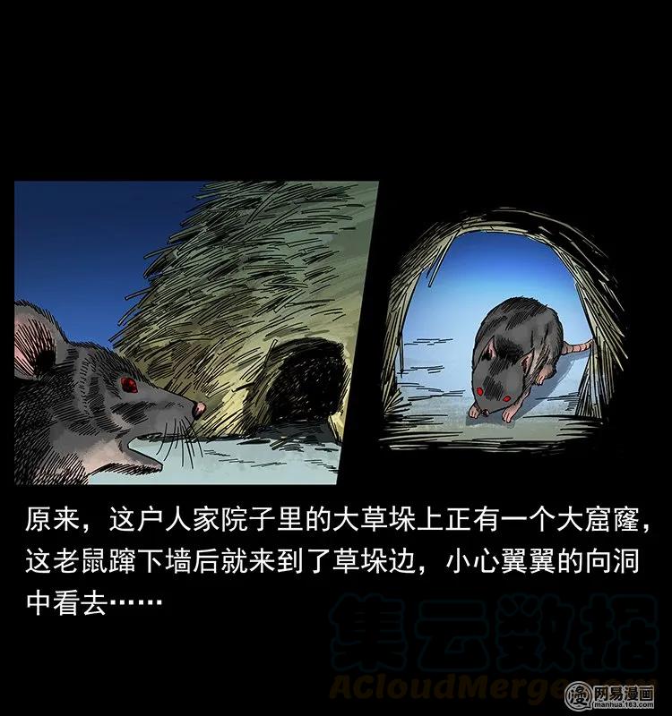 幽冥诡匠 136 插树沟尸魃 第37页