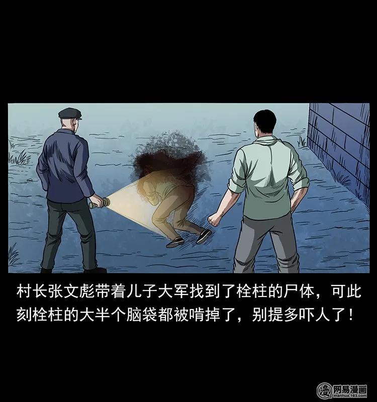 幽冥诡匠 136 插树沟尸魃 第2页