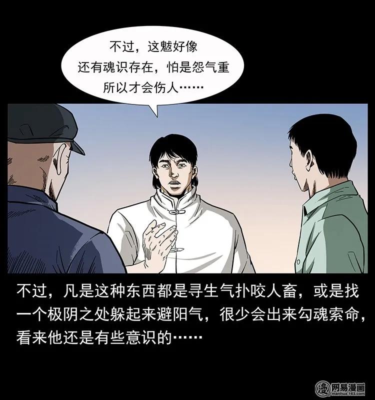 幽冥诡匠 136 插树沟尸魃 第28页