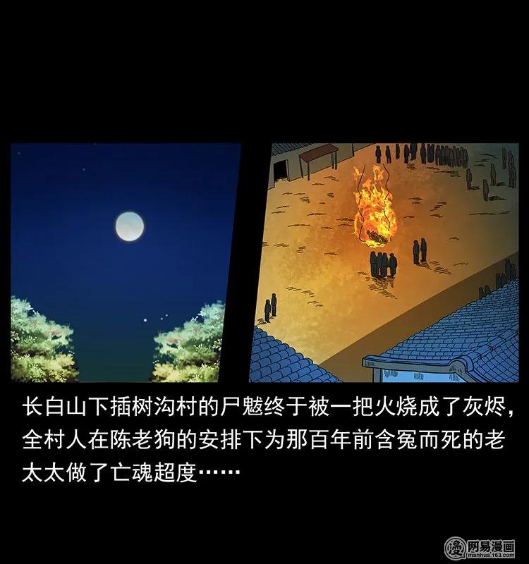 幽冥诡匠 137 长白山毛脸怪 第2页