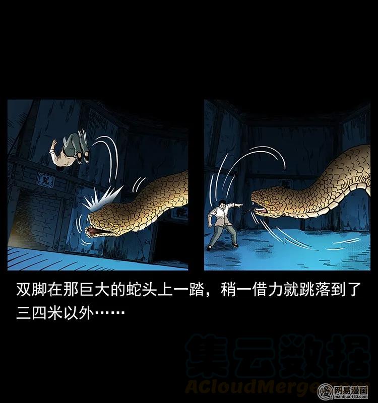 幽冥诡匠 139 巨兽凶蟒 第17页