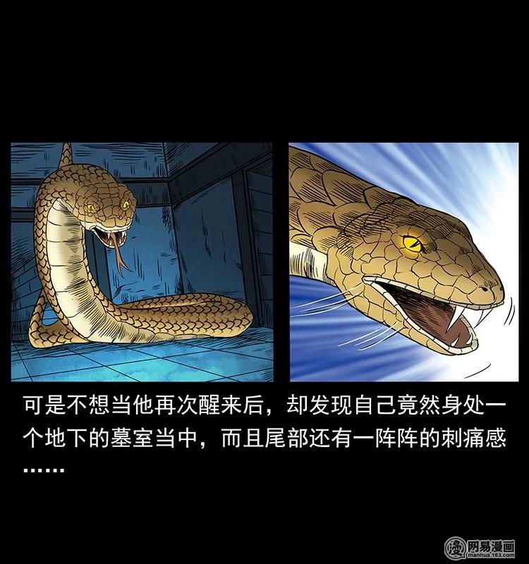 幽冥诡匠 139 巨兽凶蟒 第62页