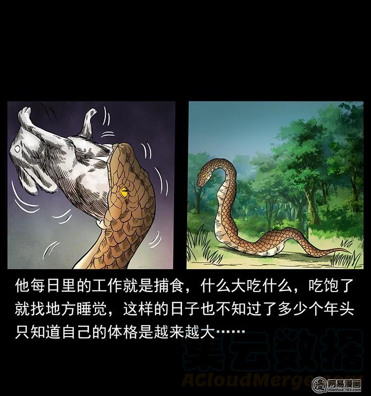 幽冥诡匠 139 巨兽凶蟒 第45页