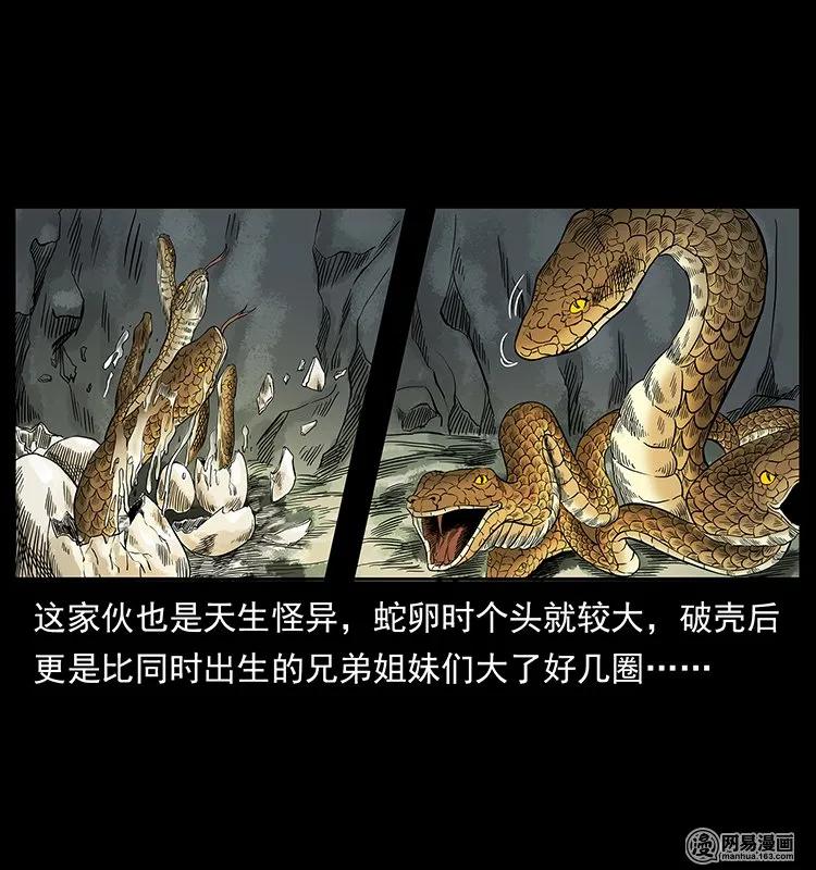 幽冥诡匠 139 巨兽凶蟒 第42页