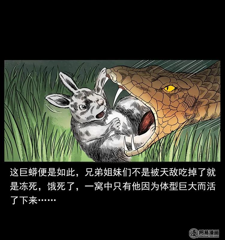 幽冥诡匠 139 巨兽凶蟒 第44页