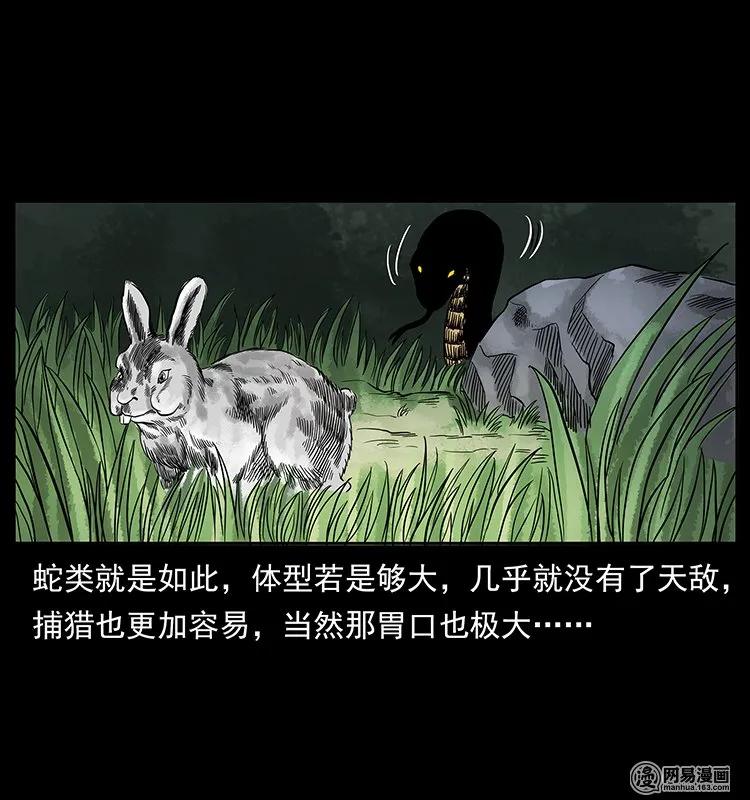 幽冥诡匠 139 巨兽凶蟒 第43页