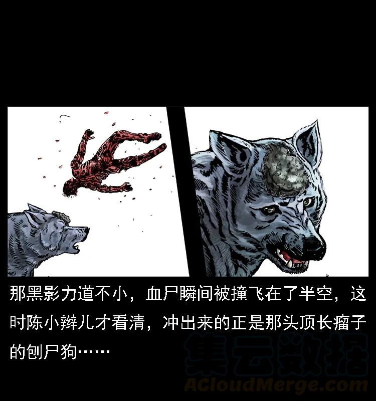 幽冥诡匠 014 斗血尸 第29页