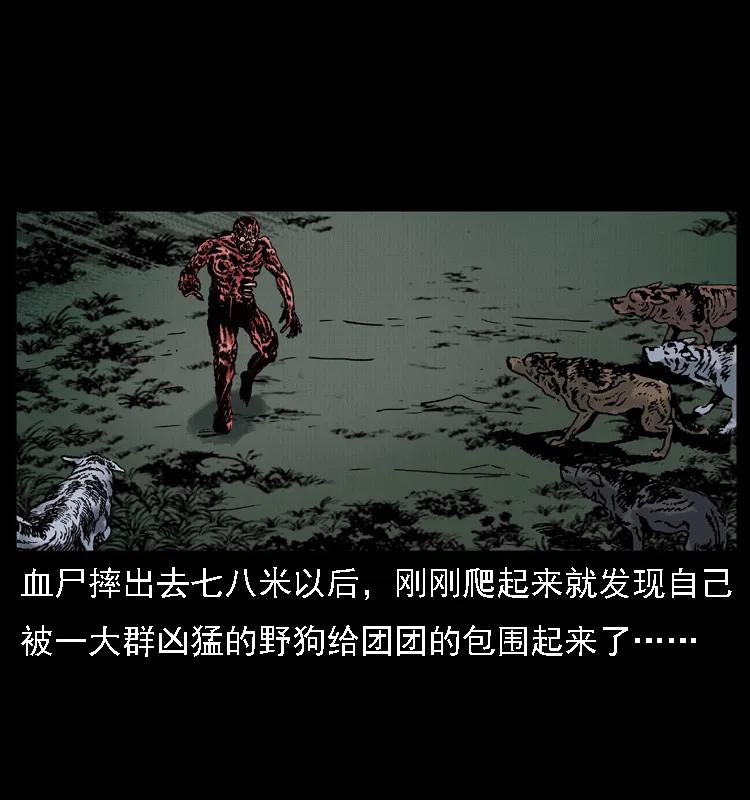幽冥诡匠 014 斗血尸 第30页