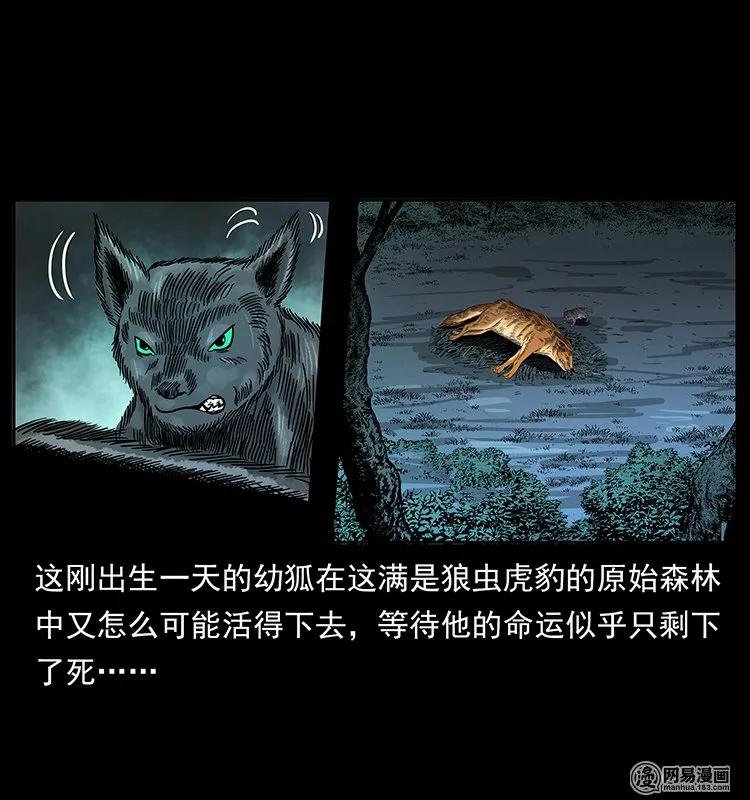 幽冥诡匠 142 黑狐 第23页