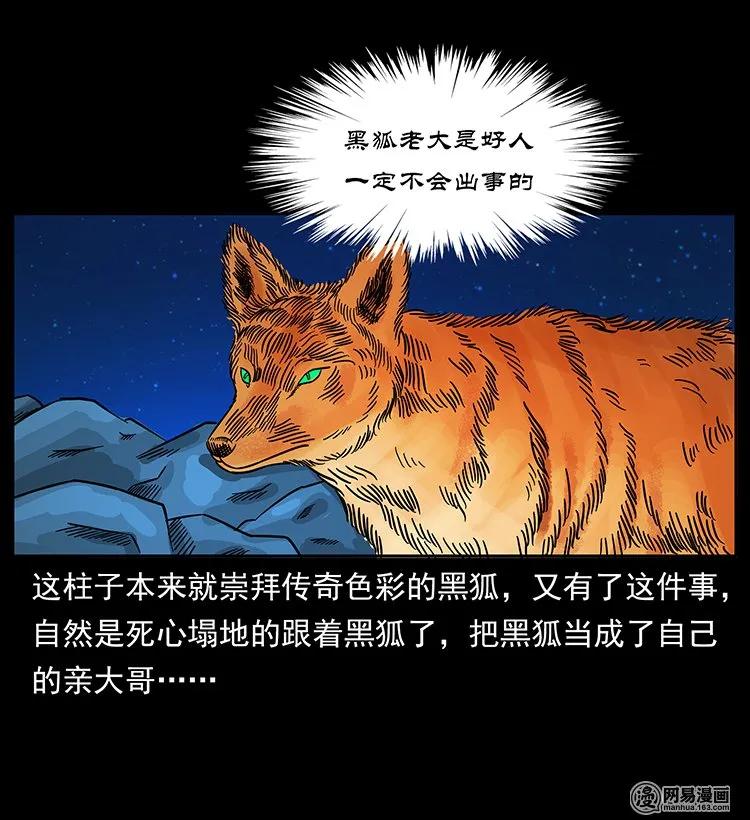 幽冥诡匠 143 出马黑狐 第67页