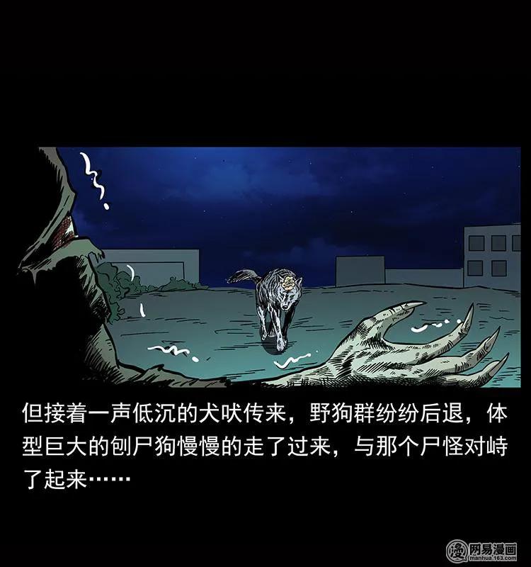 幽冥诡匠 151 京西烧骨塔（下） 第66页