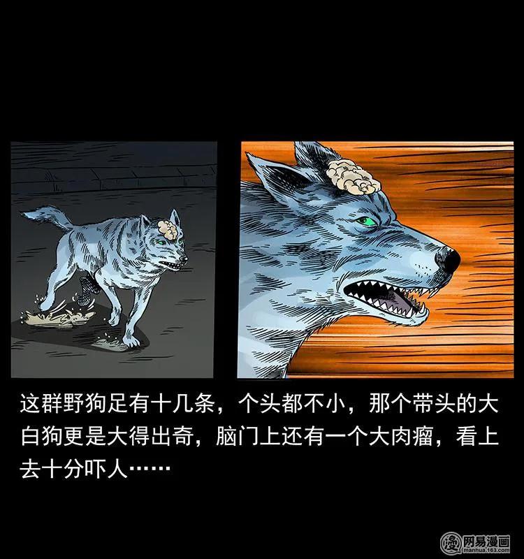 幽冥诡匠 151 京西烧骨塔（下） 第59页